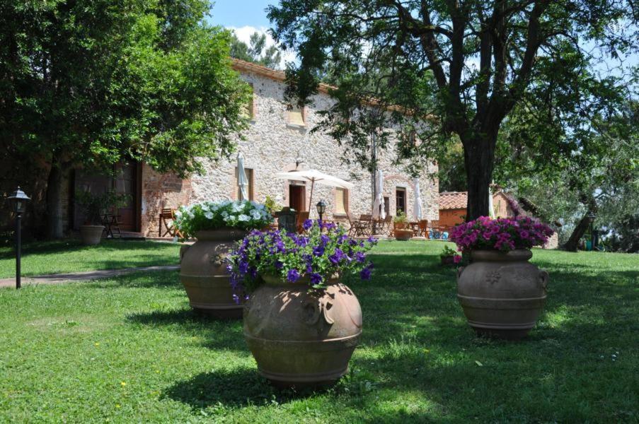 Il Martellino Apartment *