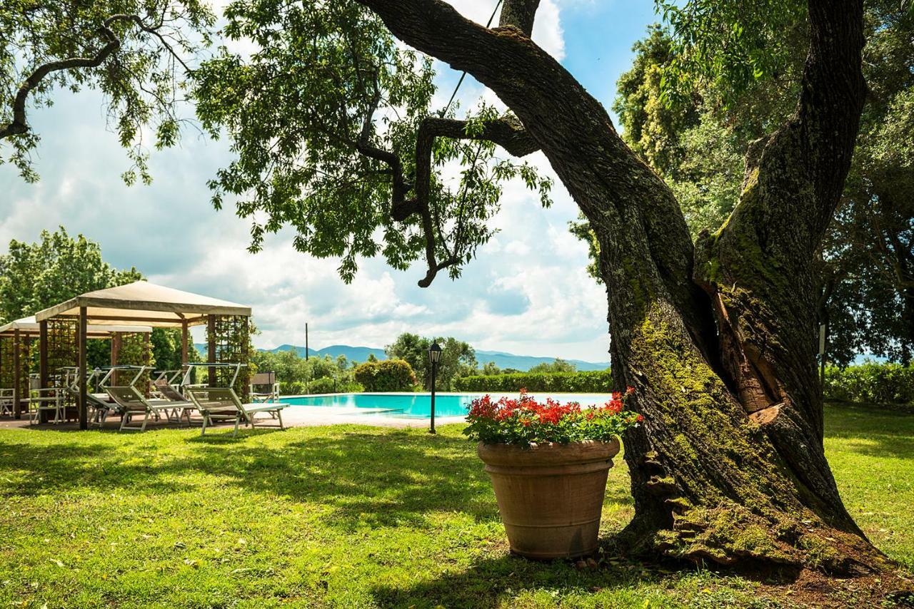 Il Martellino Appartement Follonica